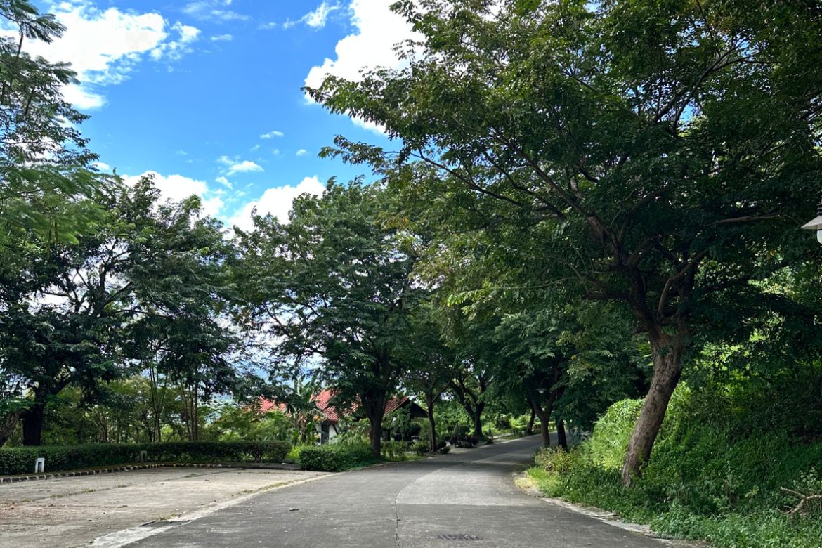Land for Sale in Natipuan, Nasugbu, Batangas – photo 6