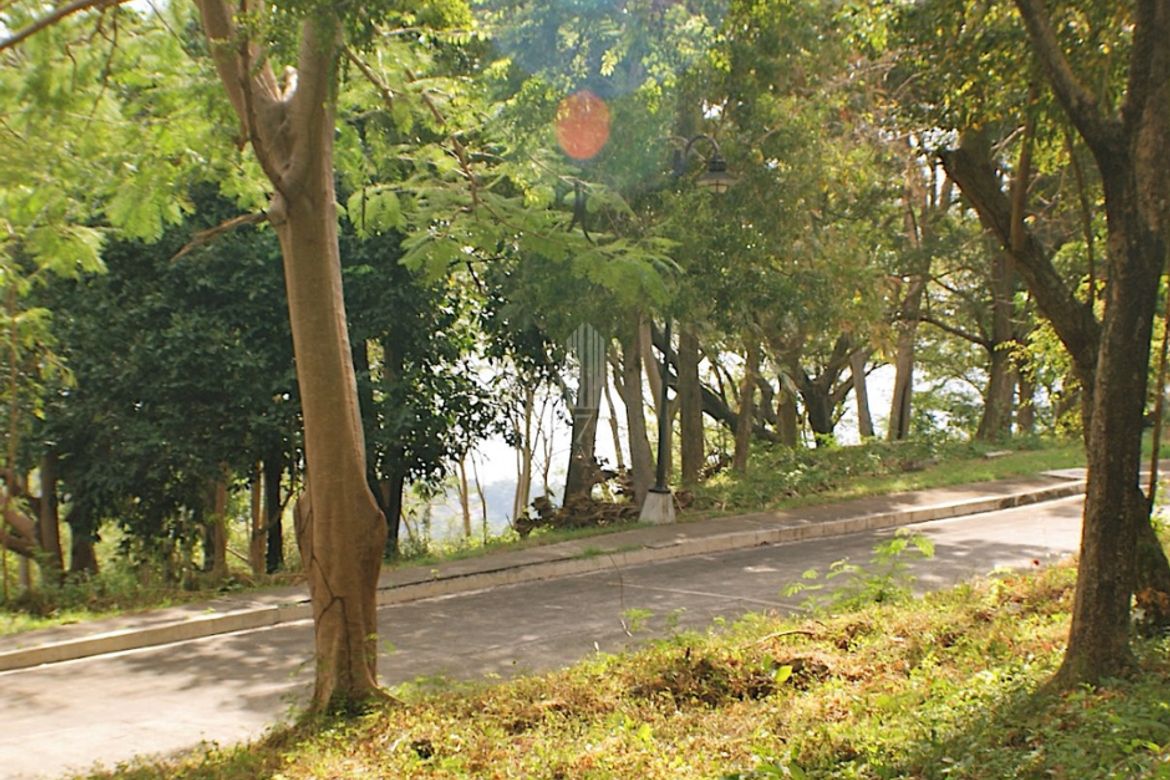 Land for Sale in Natipuan, Nasugbu, Batangas – photo 2
