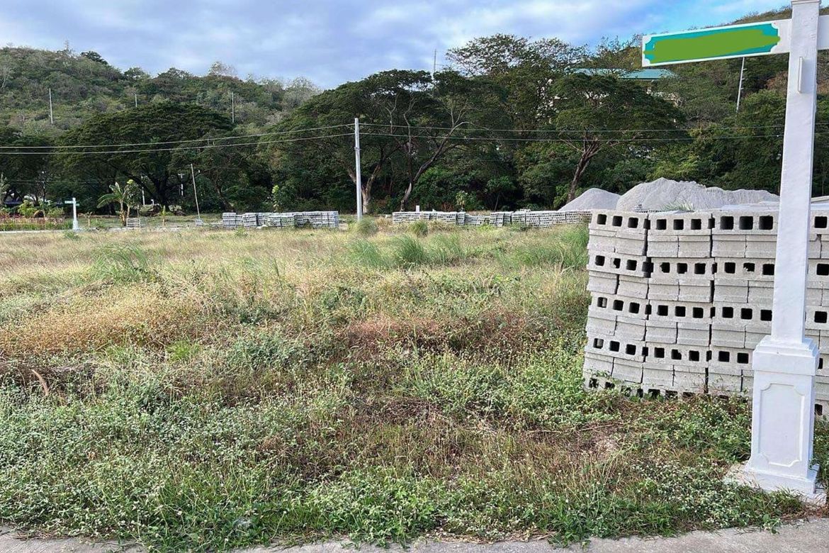 Land for Sale in Natipuan, Nasugbu, Batangas – photo 2