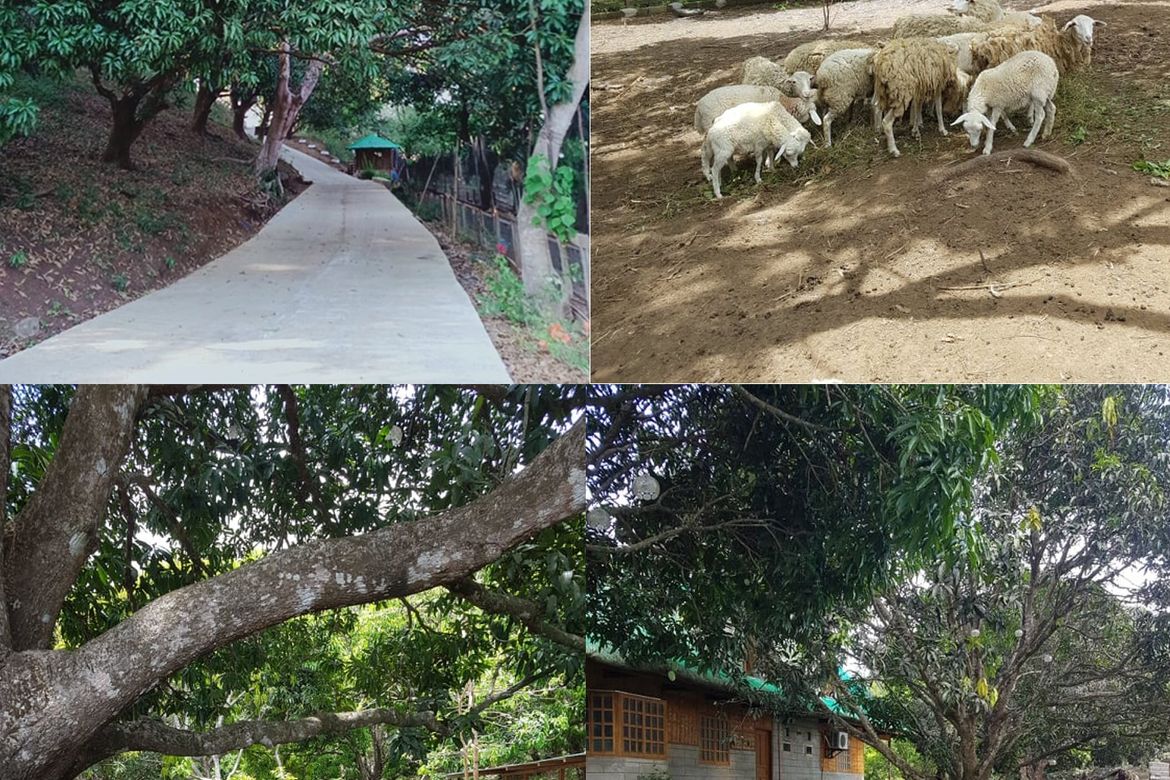 Land for Sale in Natipuan, Nasugbu, Batangas – photo 7