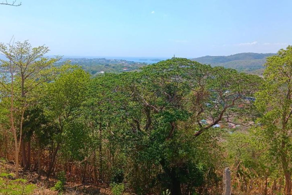 Land for Sale in Natipuan, Nasugbu, Batangas – photo 2