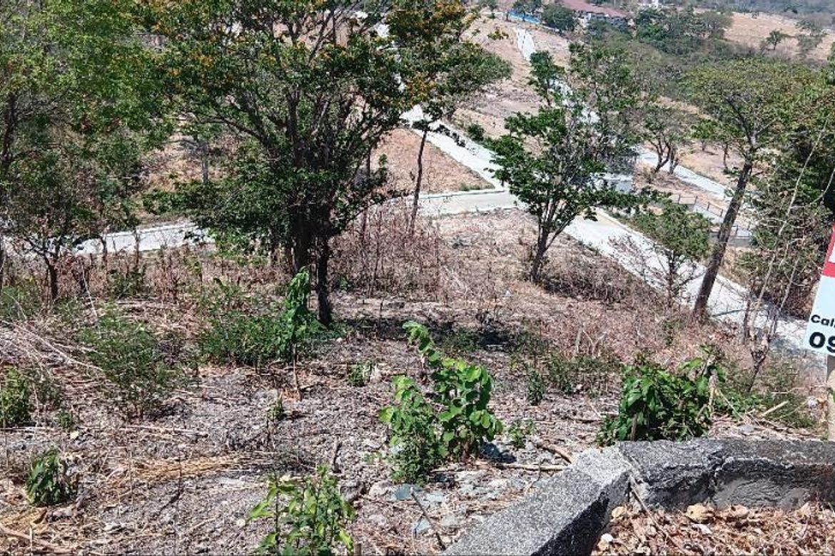 Land for Sale in Natipuan, Nasugbu, Batangas – photo 3