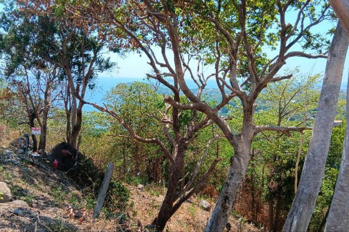 Land for Sale in Natipuan, Nasugbu, Batangas – photo 4