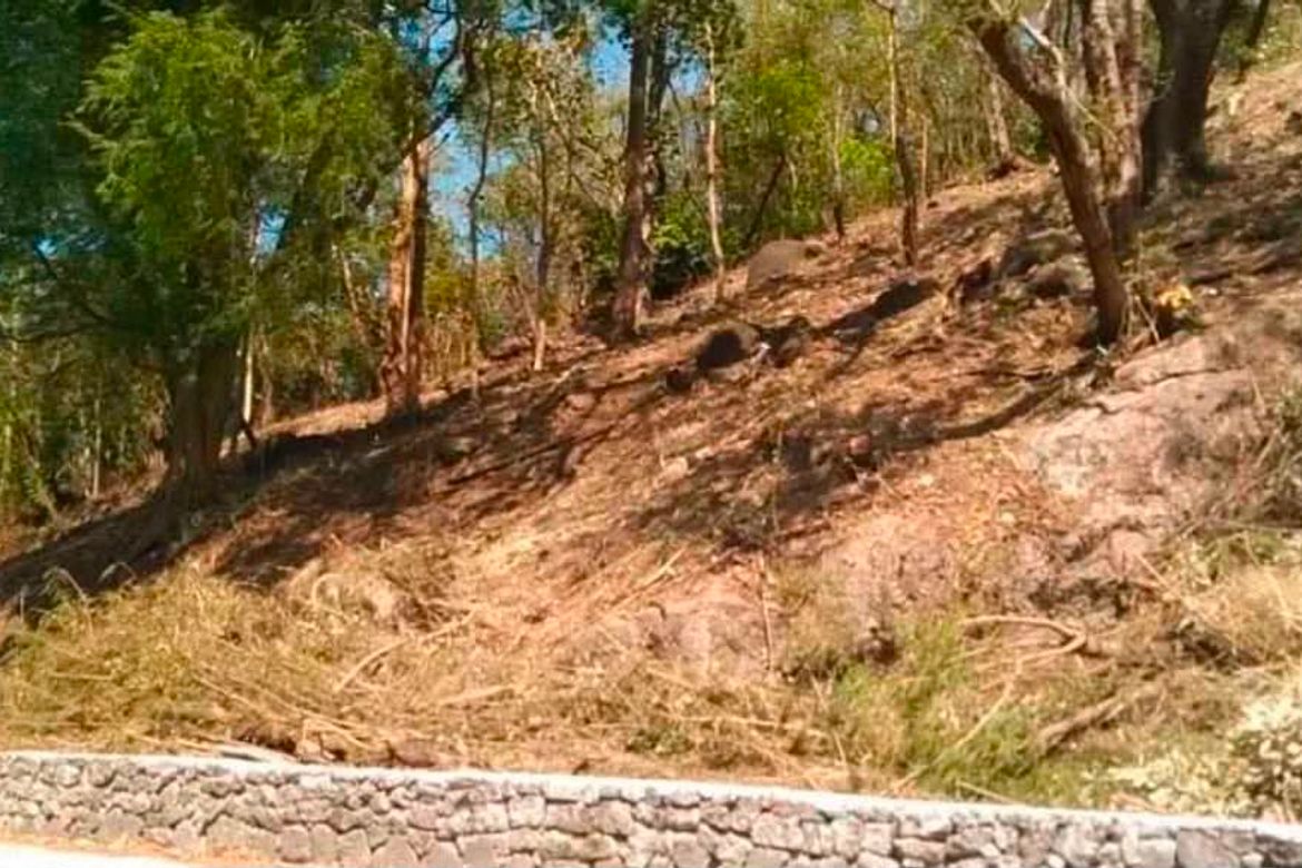 Land for Sale in Natipuan, Nasugbu, Batangas – photo 8
