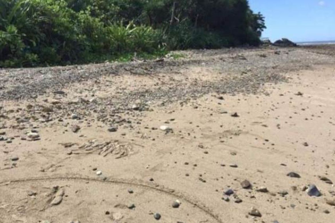 Land for Sale in Nazareth, Buruanga, Aklan – photo 5