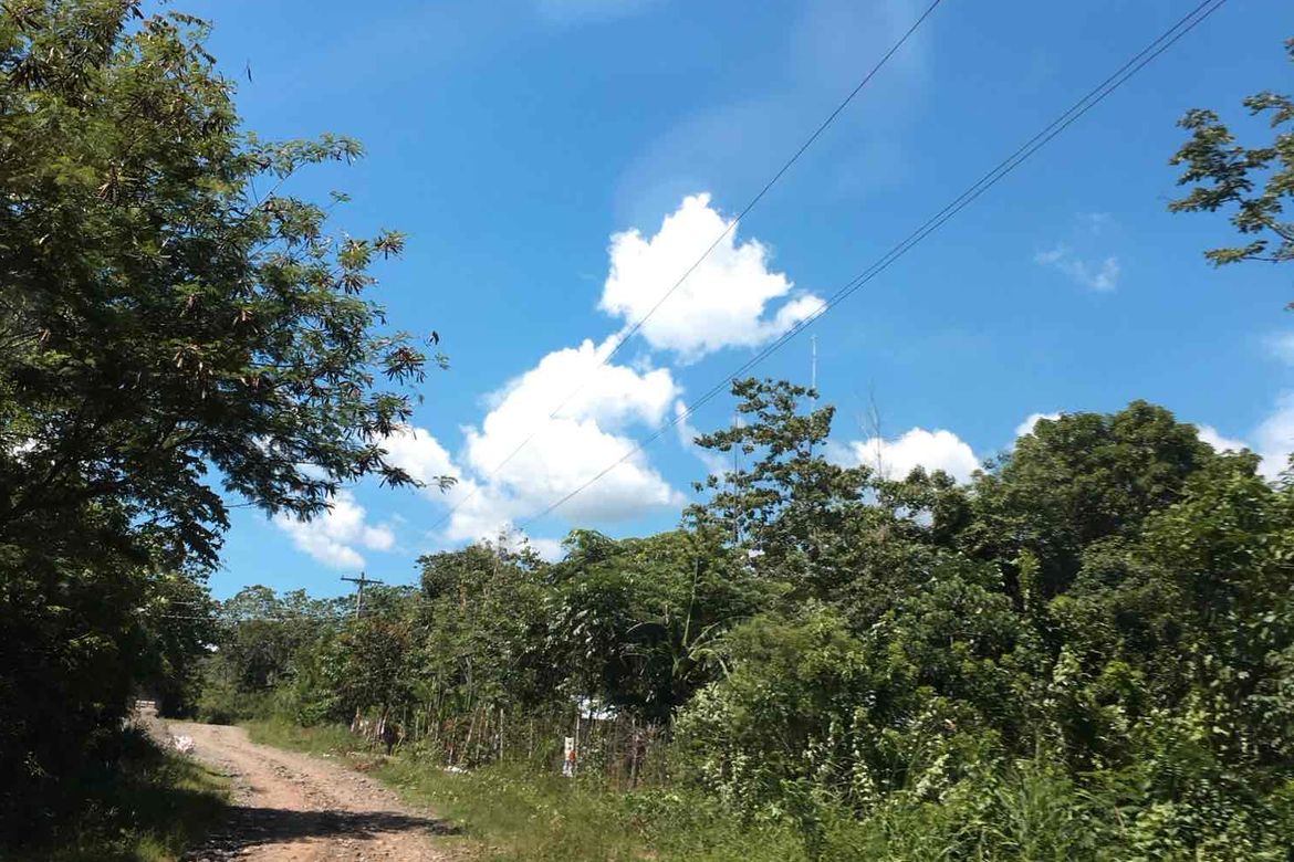 Land for Sale in Nazareth, General Tinio, Nueva Ecija – photo 3
