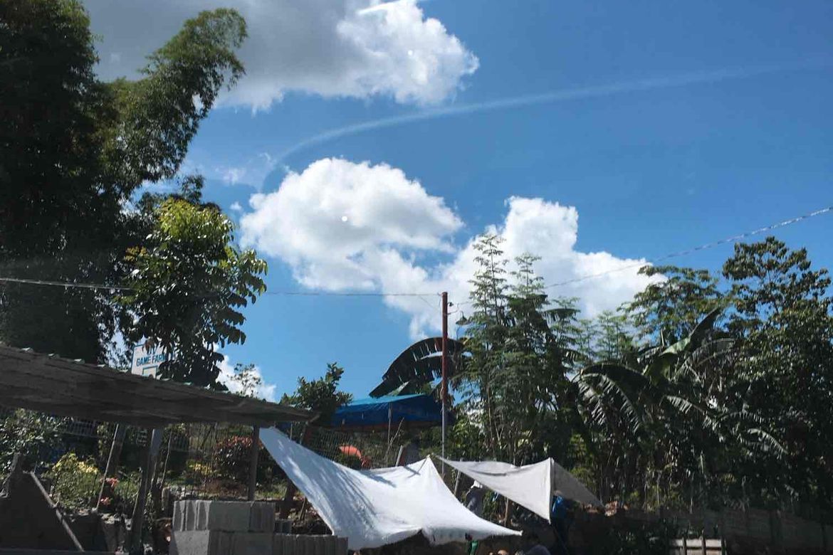 Land for Sale in Nazareth, General Tinio, Nueva Ecija – photo 6