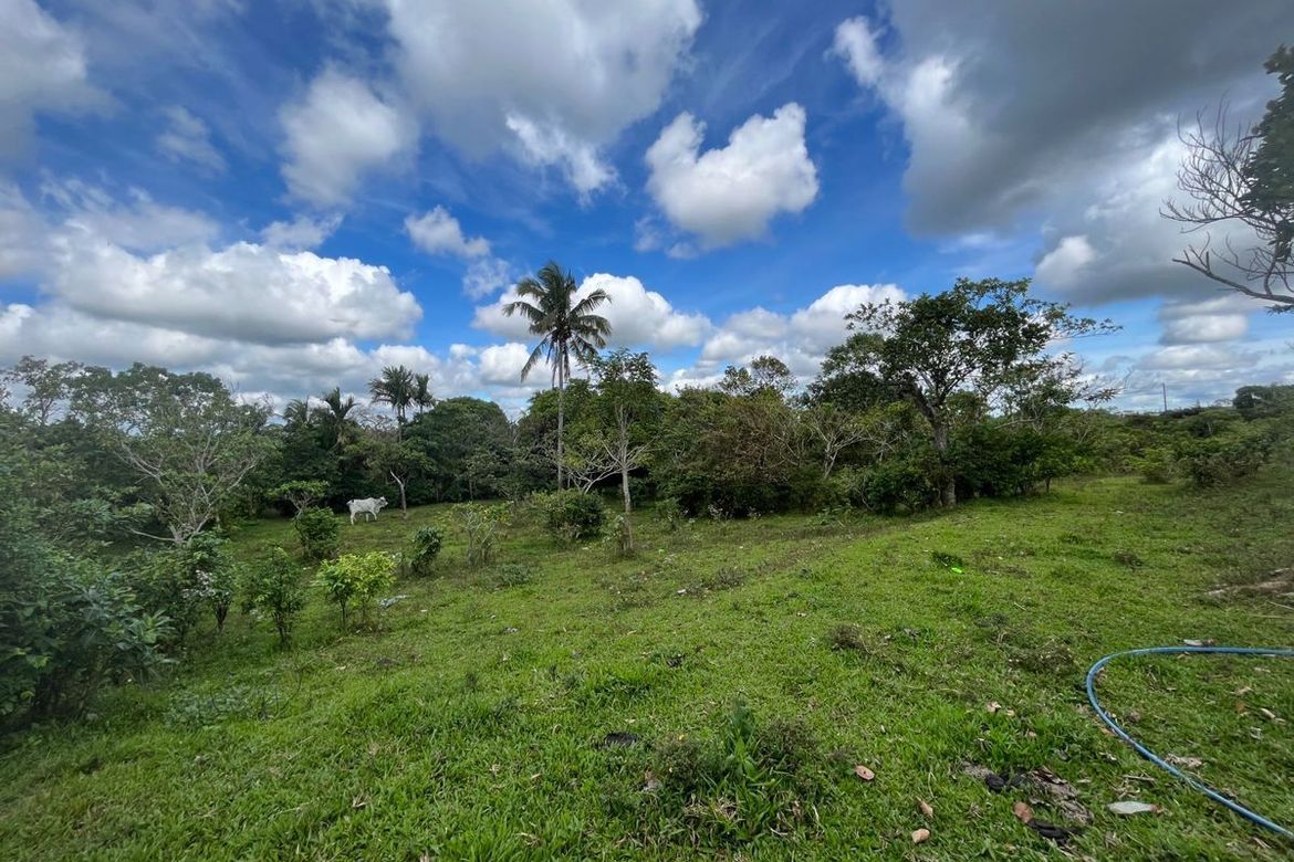 Land for Sale in Neogan, Tagaytay, Cavite