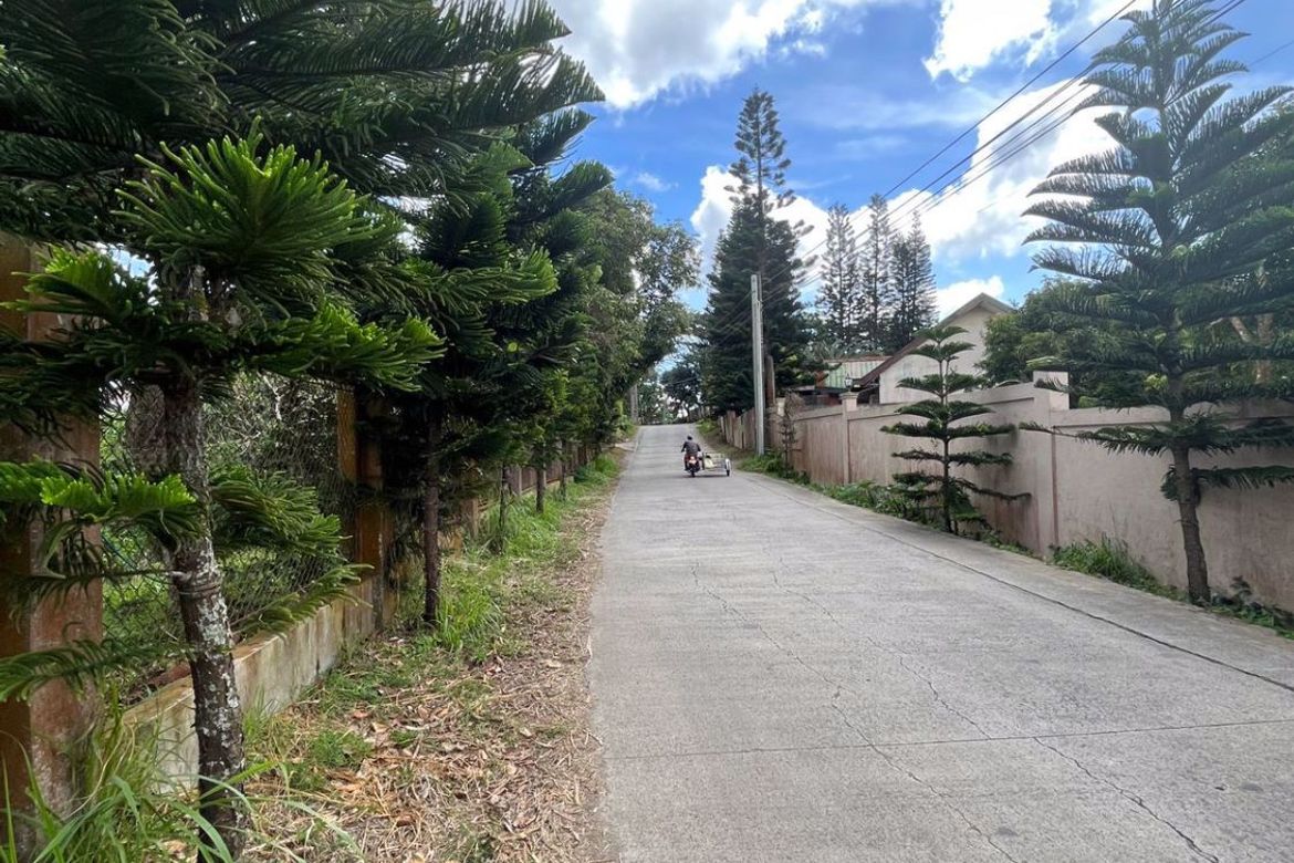Land for Sale in Neogan, Tagaytay, Cavite – photo 2