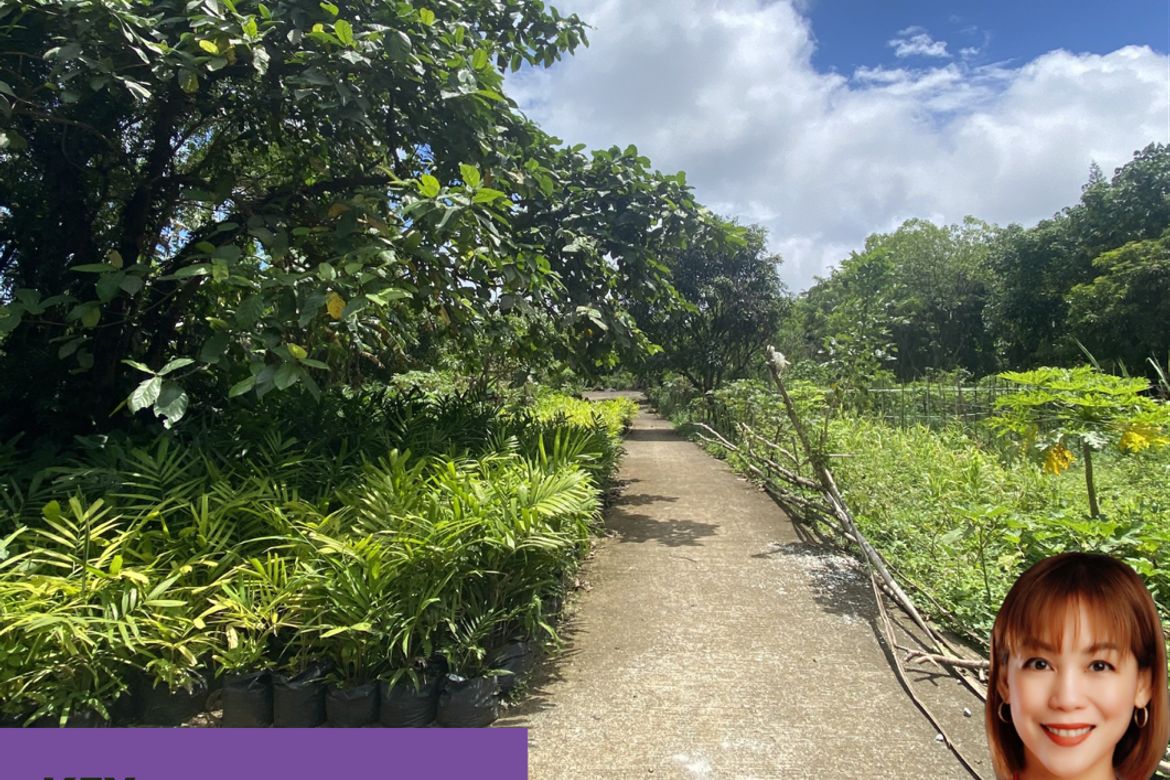 Land for Sale in Neogan, Tagaytay, Cavite