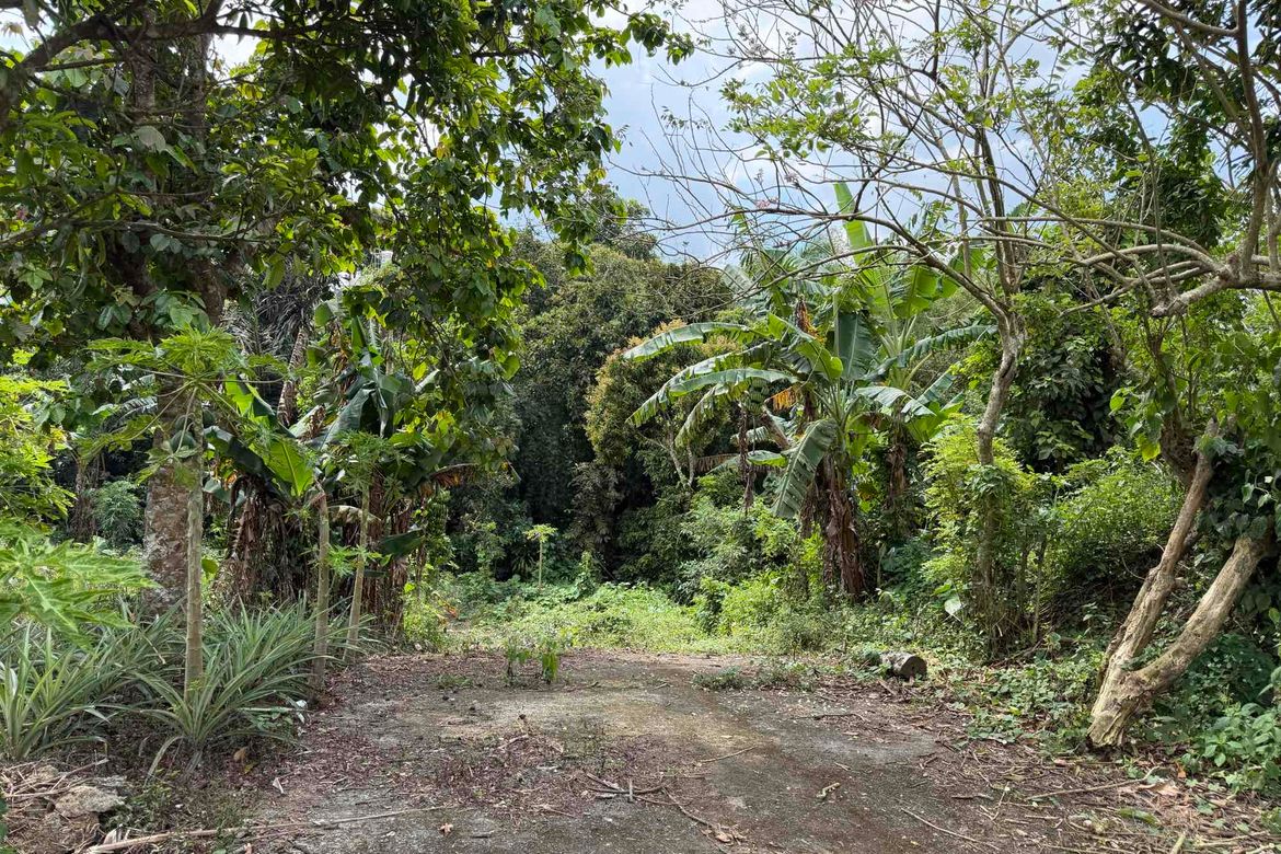 Land for Sale in Neogan, Tagaytay, Cavite – photo 3