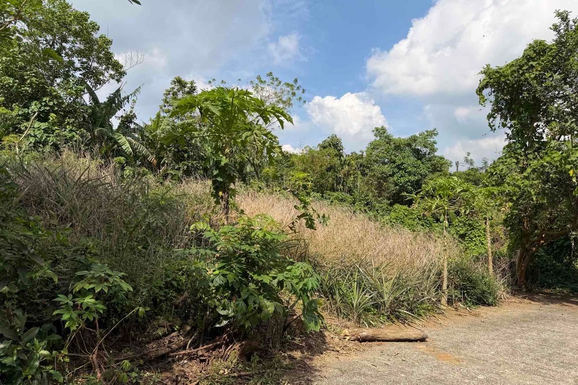 Land for Sale in Neogan, Tagaytay, Cavite – photo 6