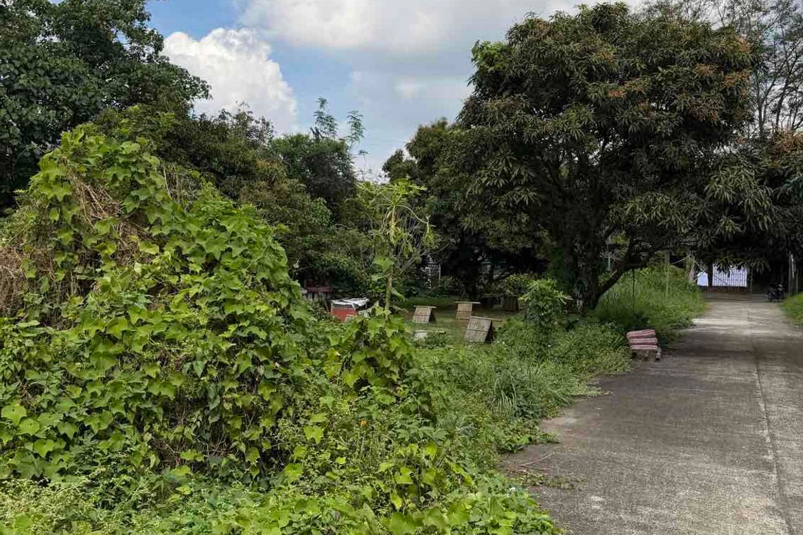 Land for Sale in Neogan, Tagaytay, Cavite – photo 8