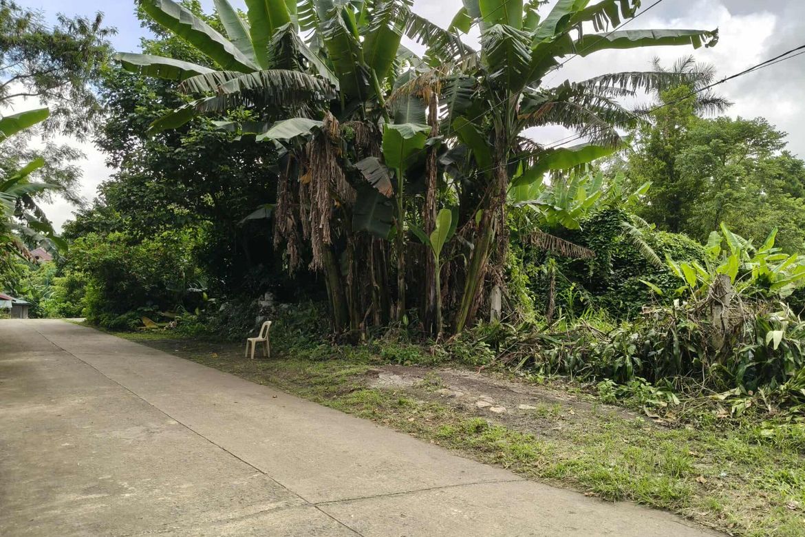 Land for Sale in Neogan, Tagaytay, Cavite
