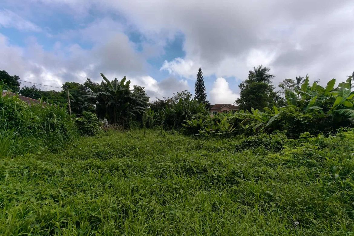 Land for Sale in Neogan, Tagaytay, Cavite – photo 2