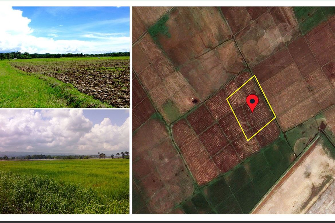 Land for Sale in New Agutaya, San Vicente, Palawan