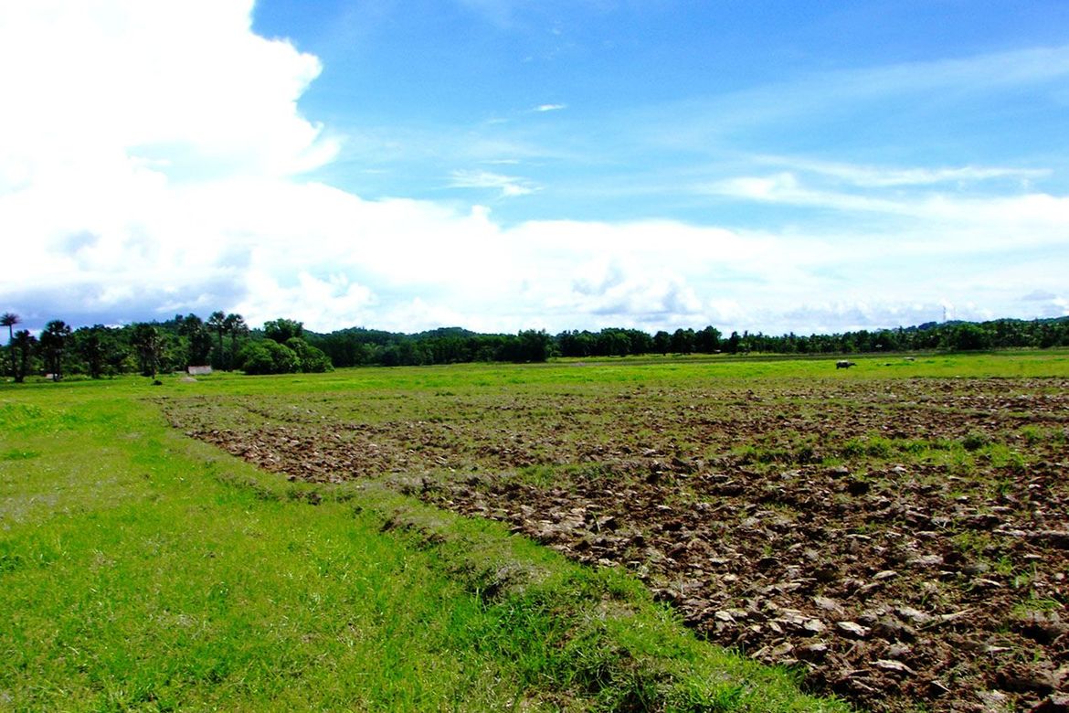 Land for Sale in New Agutaya, San Vicente, Palawan – photo 2