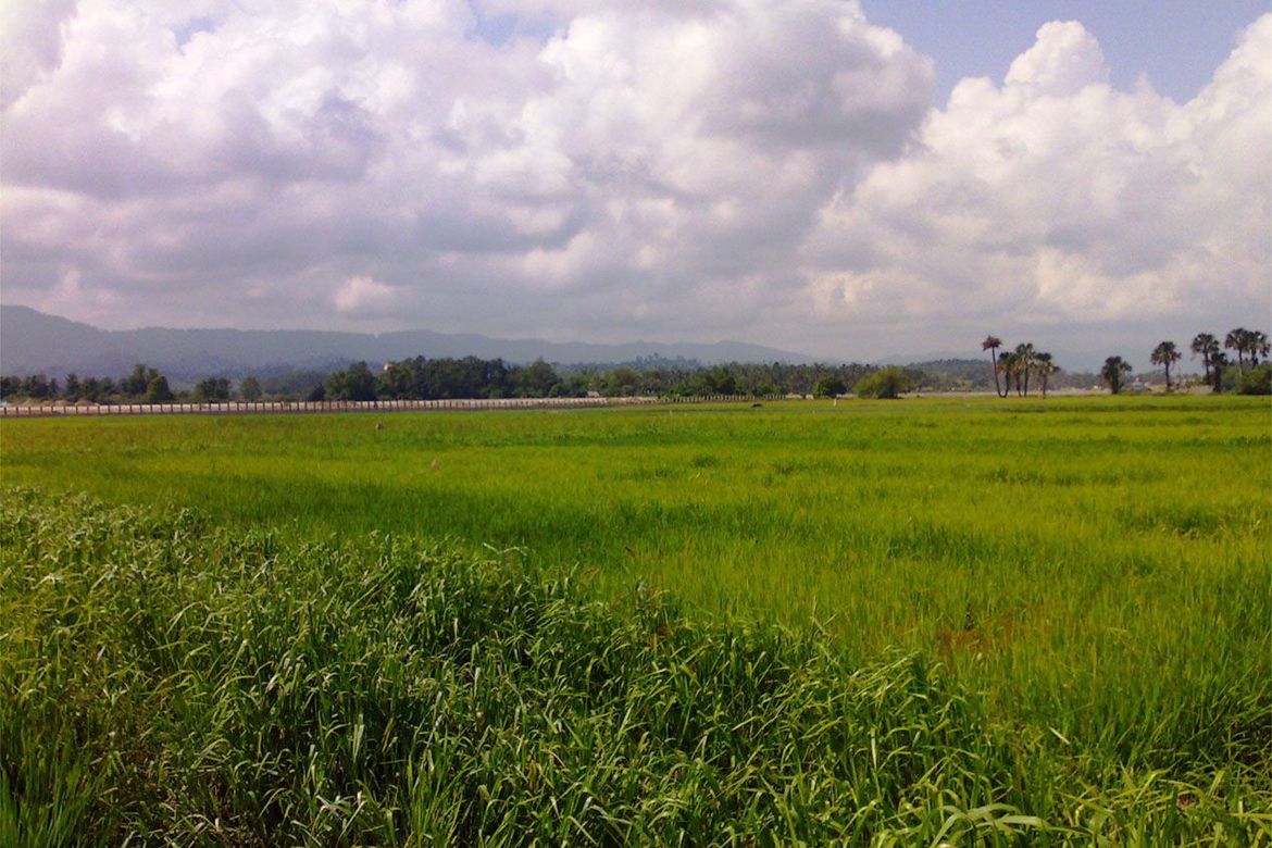 Land for Sale in New Agutaya, San Vicente, Palawan – photo 3