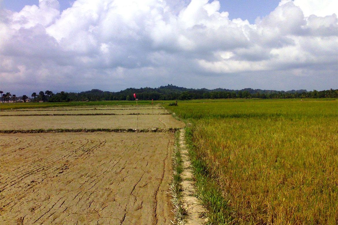 Land for Sale in New Agutaya, San Vicente, Palawan – photo 5