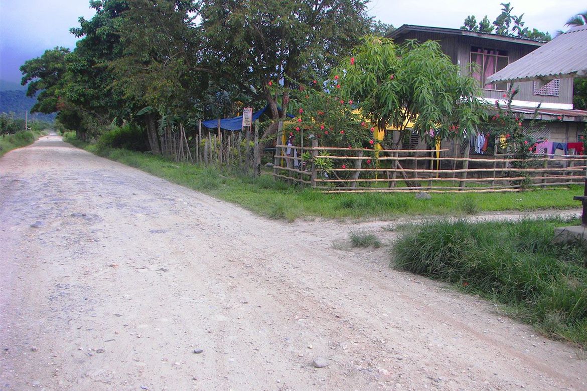 Land for Sale in New Agutaya, San Vicente, Palawan – photo 7