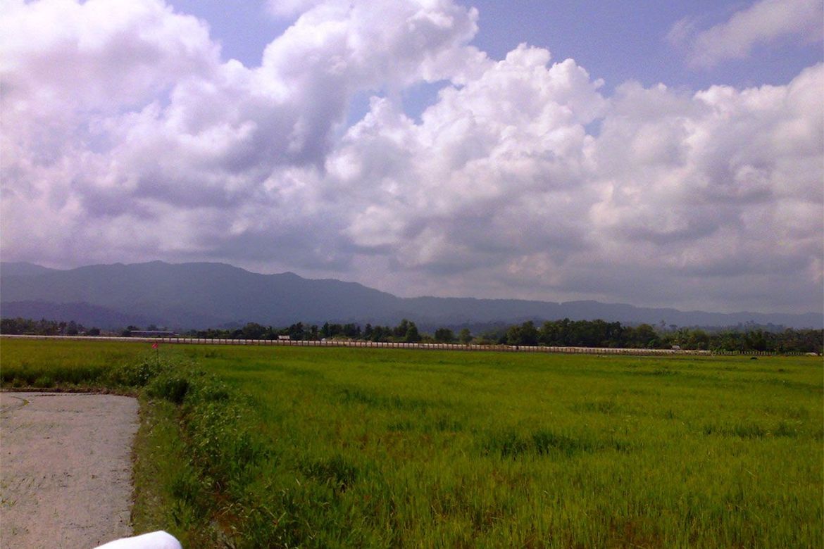 Land for Sale in New Agutaya, San Vicente, Palawan – photo 8