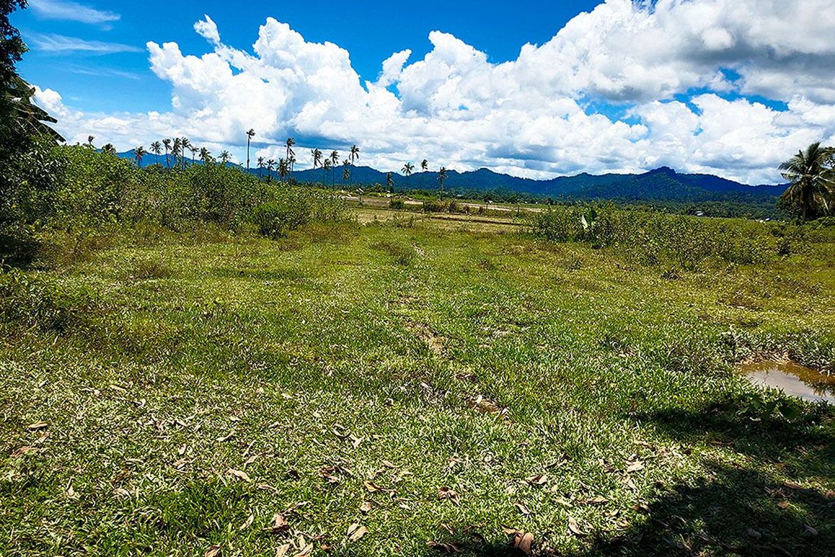 Land for Sale in New Agutaya, San Vicente, Palawan – photo 2