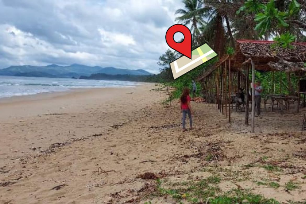 Land for Sale in New Agutaya, San Vicente, Palawan – photo 2