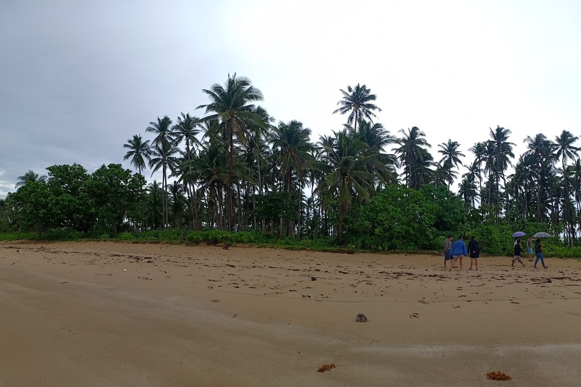 Land for Sale in New Agutaya, San Vicente, Palawan – photo 4