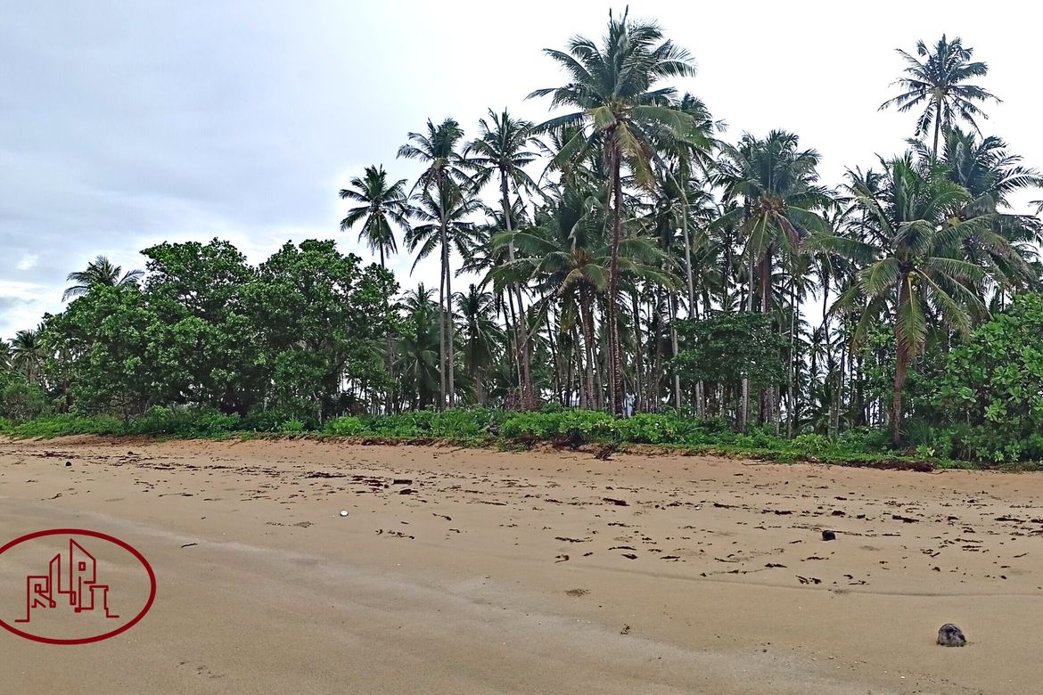 Land for Sale in New Agutaya, San Vicente, Palawan – photo 6