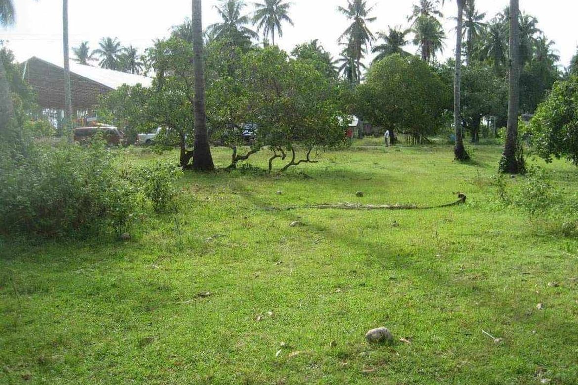 Land for Sale in New Agutaya, San Vicente, Palawan – photo 5