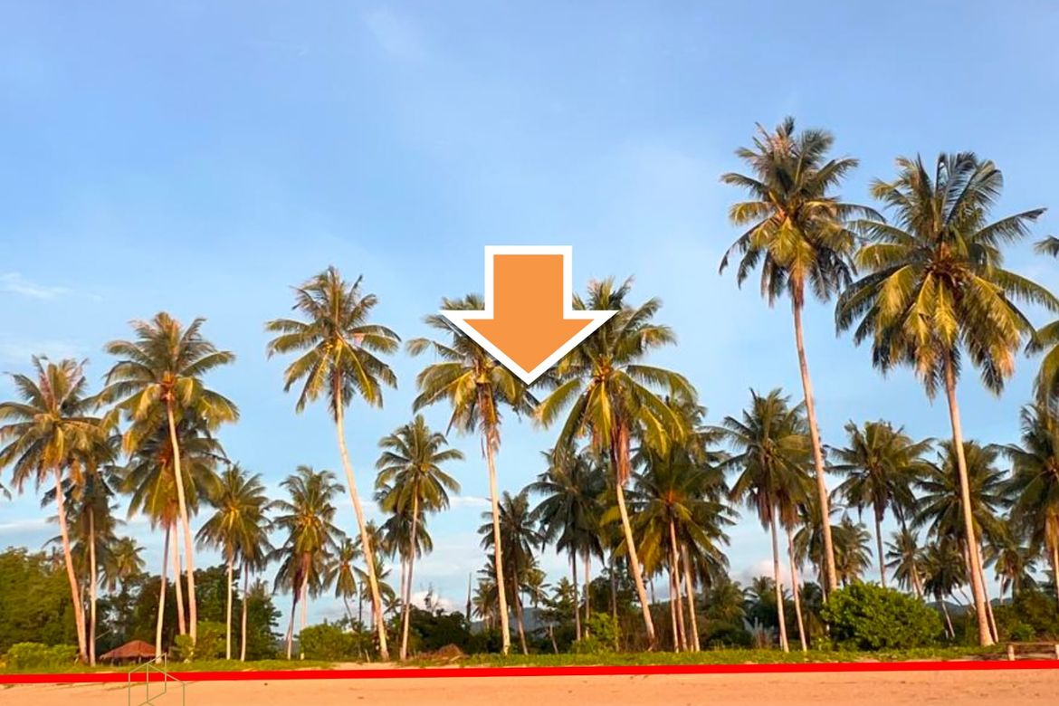 Land for Sale in New Agutaya, San Vicente, Palawan – photo 3