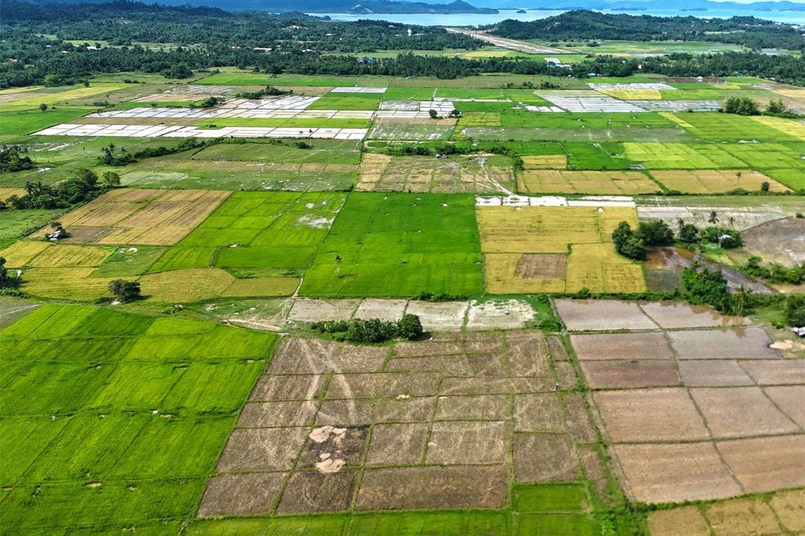 Land for Sale in New Agutaya, San Vicente, Palawan – photo 2