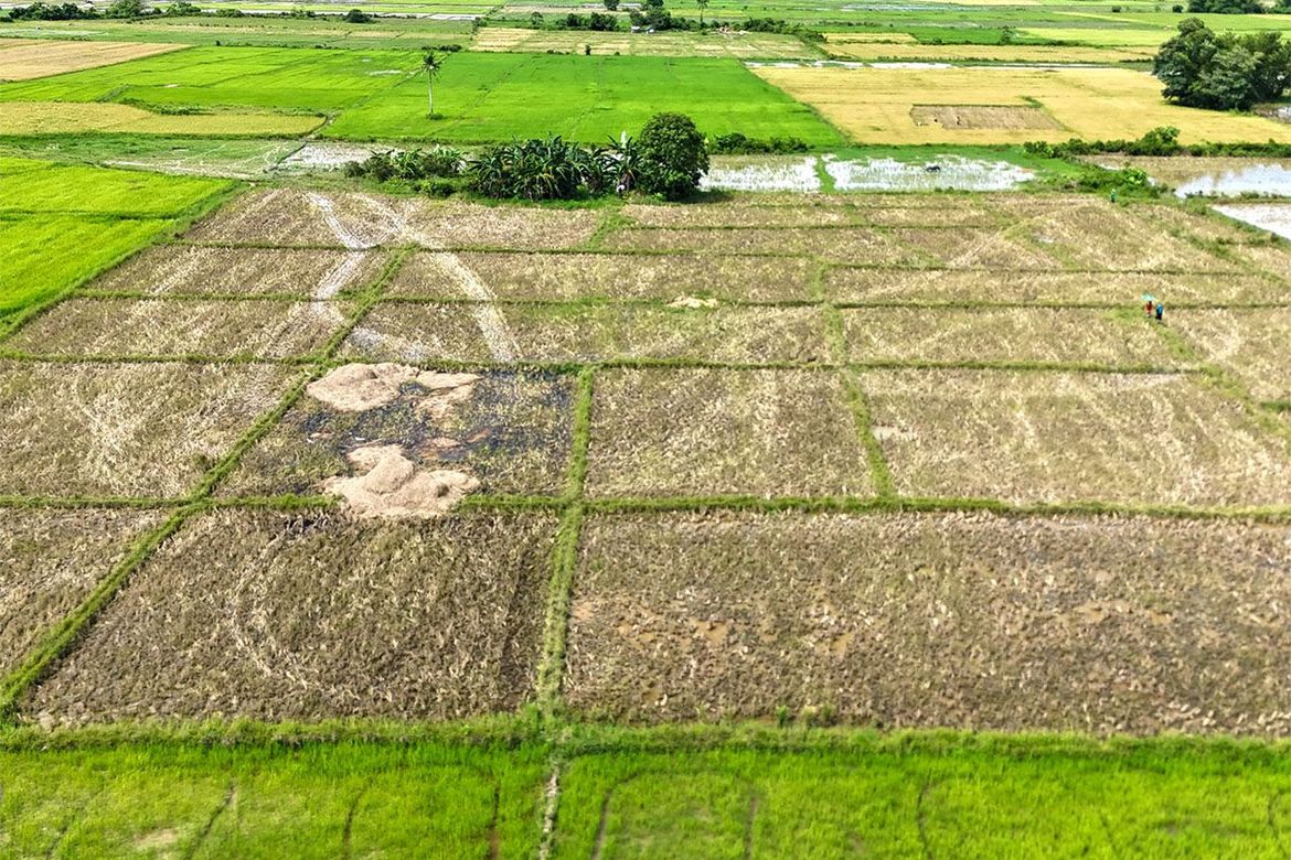 Land for Sale in New Agutaya, San Vicente, Palawan – photo 3