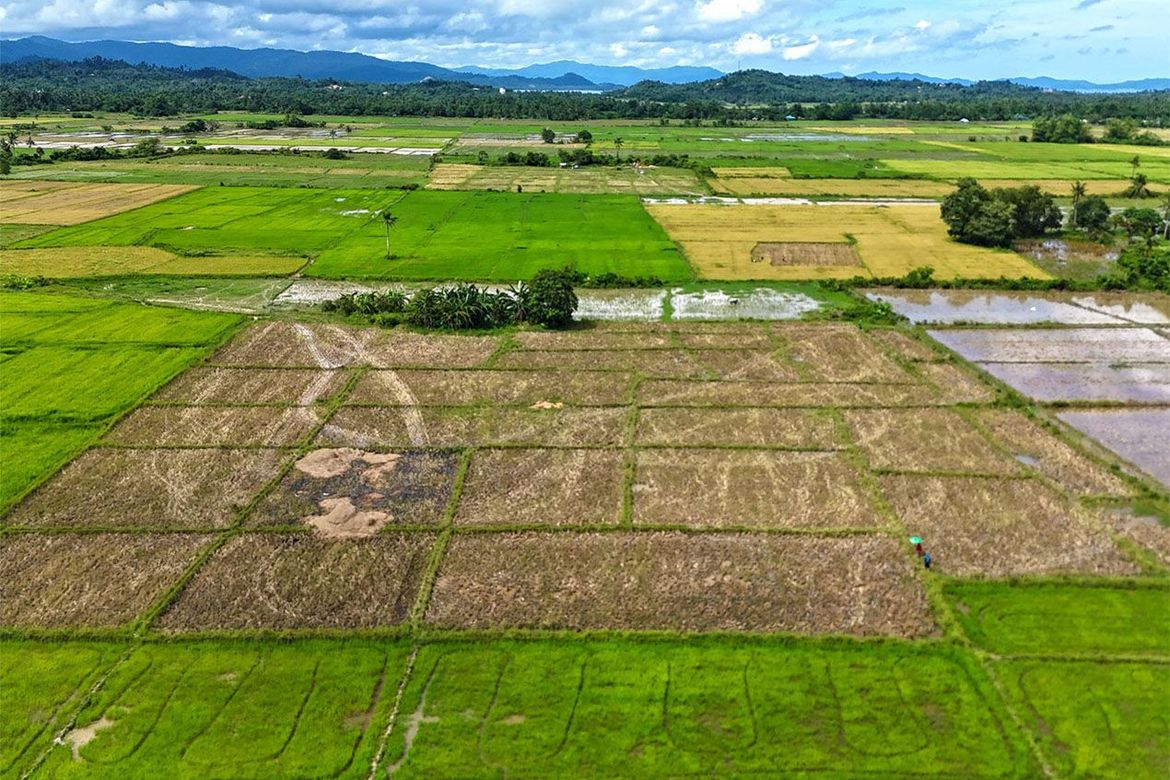 Land for Sale in New Agutaya, San Vicente, Palawan – photo 4