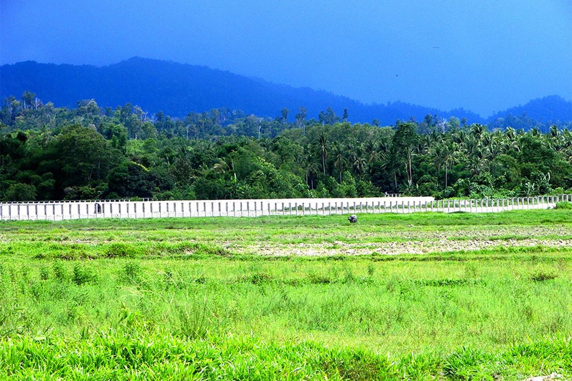 Land for Sale in New Agutaya, San Vicente, Palawan – photo 2