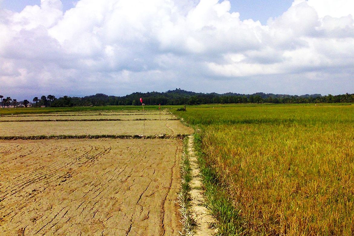 Land for Sale in New Agutaya, San Vicente, Palawan – photo 7