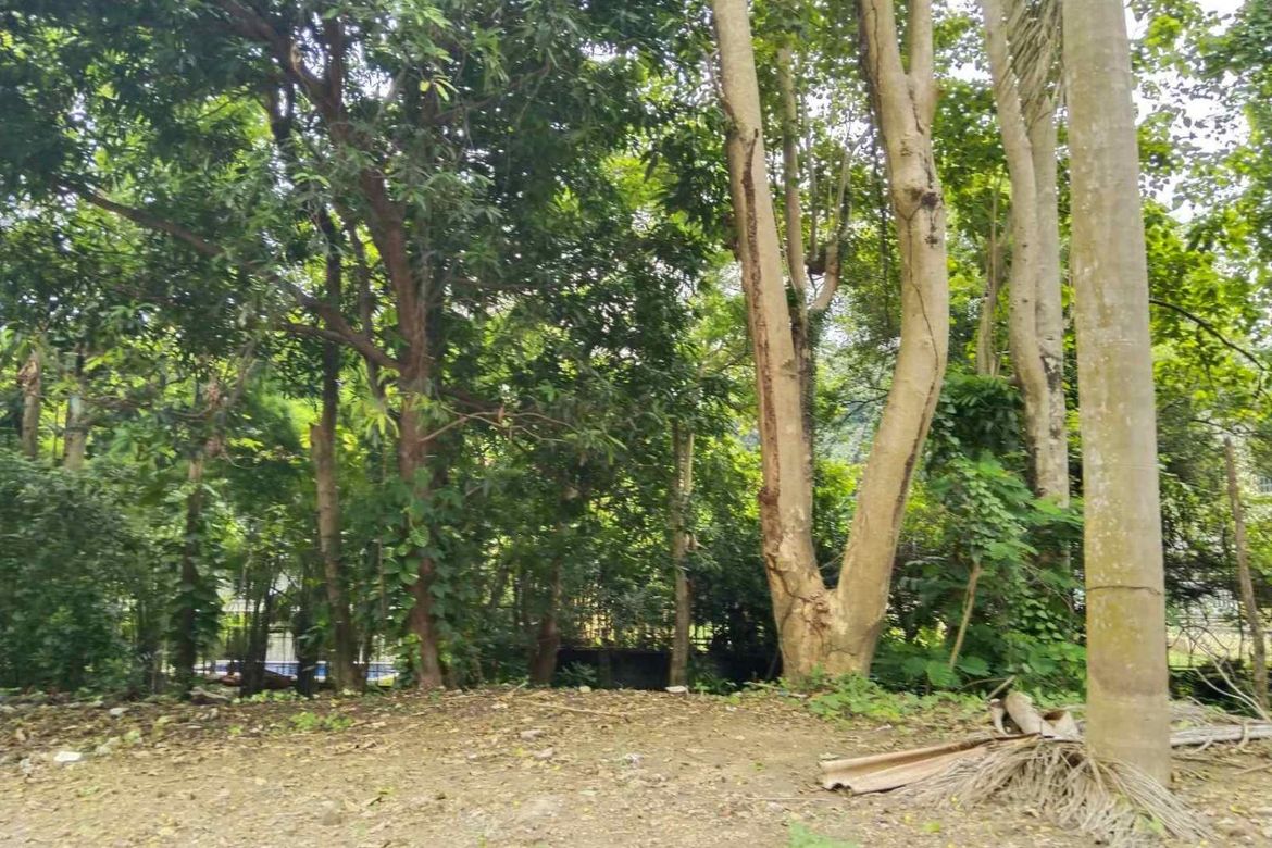 Land for Sale in New Alabang Village, Muntinlupa, Metro Manila – photo 3