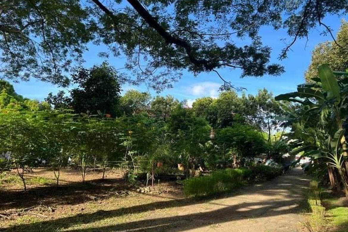 Land for Sale in New Alabang Village, Muntinlupa, Metro Manila – photo 3