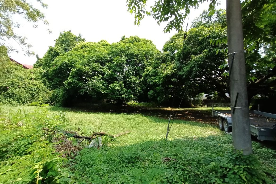 Land for Sale in New Alabang Village, Muntinlupa, Metro Manila – photo 3