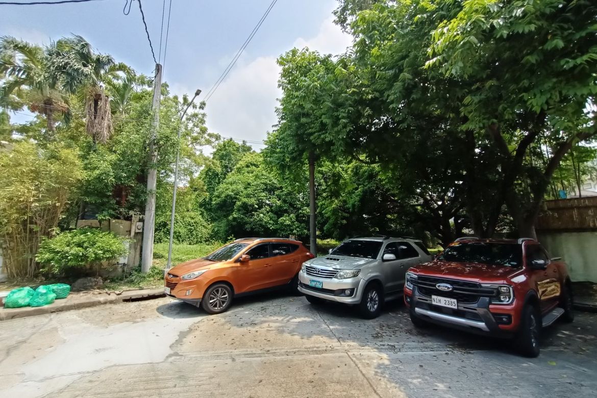 Land for Sale in New Alabang Village, Muntinlupa, Metro Manila – photo 5