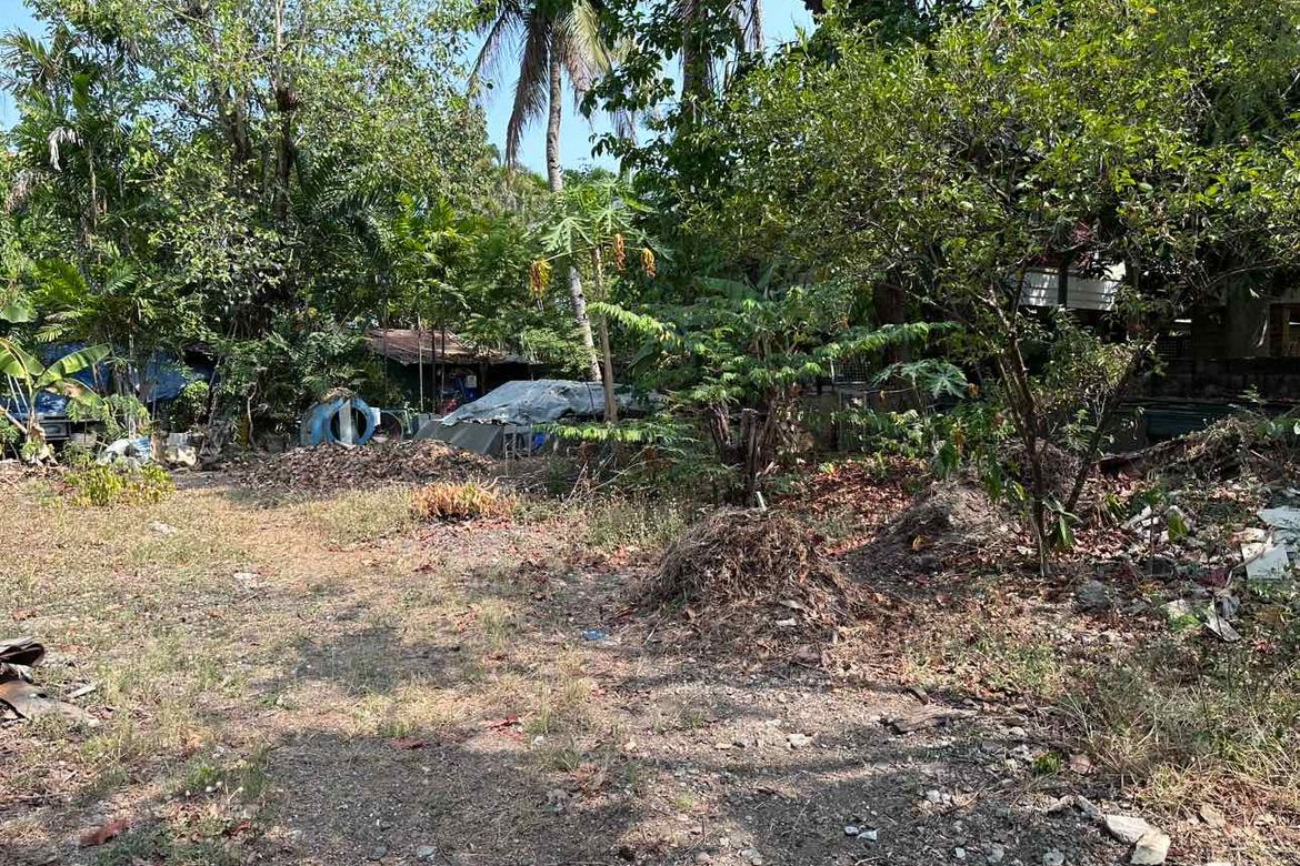 Land for Sale in New Alabang Village, Muntinlupa, Metro Manila – photo 2
