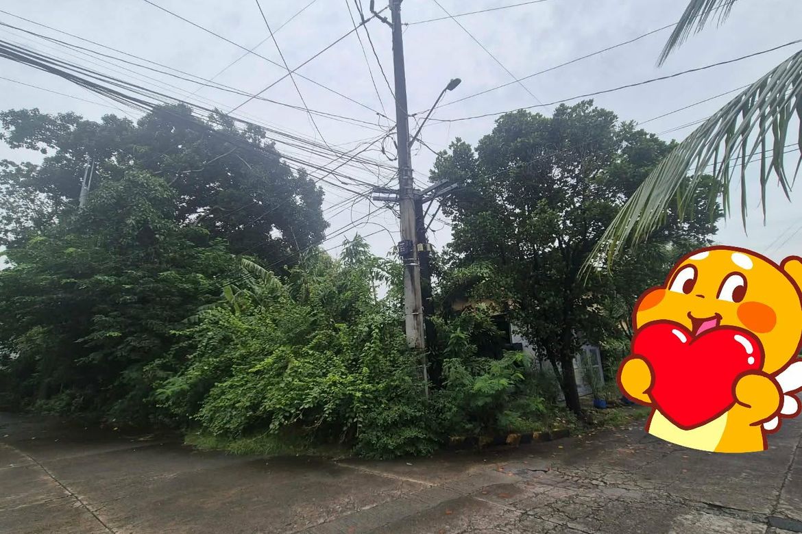 Land for Sale in New Alabang Village, Muntinlupa, Metro Manila – photo 5