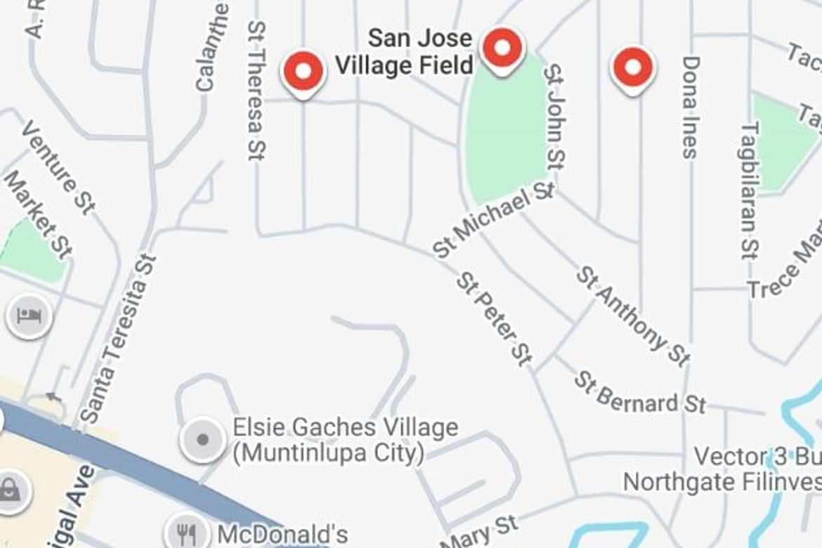 Land for Sale in New Alabang Village, Muntinlupa, Metro Manila – photo 6