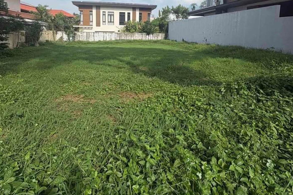 Land for Sale in New Alabang Village, Muntinlupa, Metro Manila – photo 3
