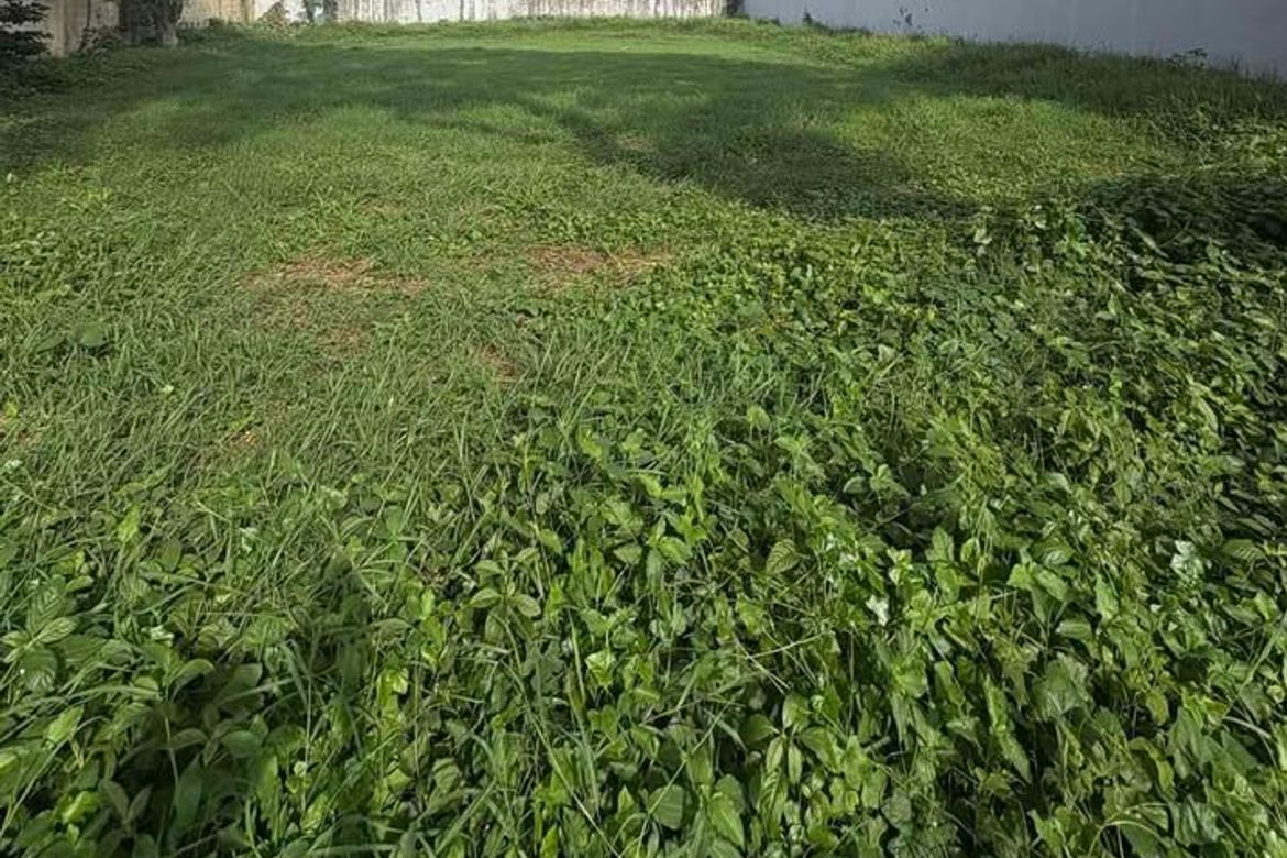 Land for Sale in New Alabang Village, Muntinlupa, Metro Manila – photo 4