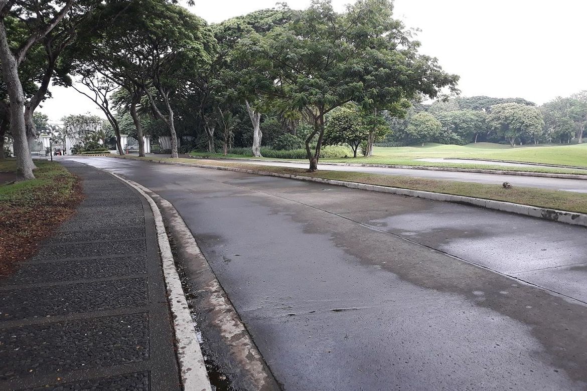 Land for Sale in New Alabang Village, Muntinlupa, Metro Manila – photo 3
