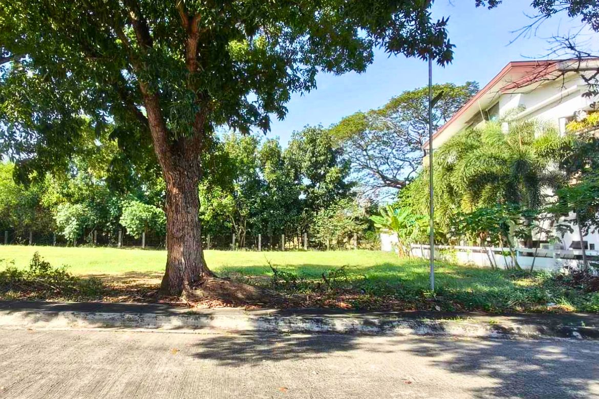 Land for Sale in New Alabang Village, Muntinlupa, Metro Manila – photo 6