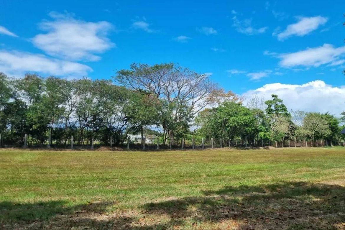 Land for Sale in New Alabang Village, Muntinlupa, Metro Manila – photo 7
