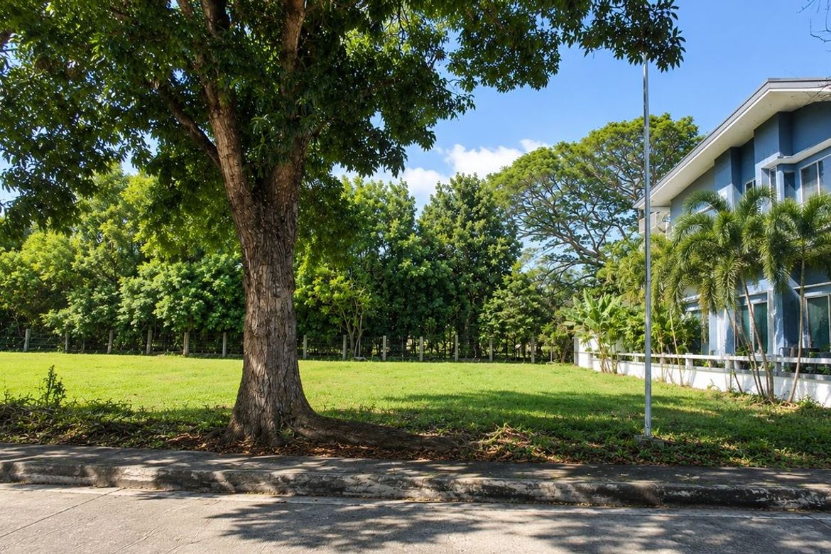 Land for Sale in New Alabang Village, Muntinlupa, Metro Manila – photo 8