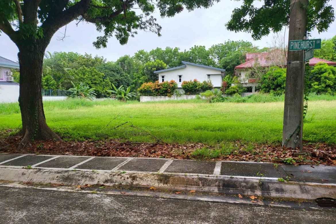 Land for Sale in New Alabang Village, Muntinlupa, Metro Manila